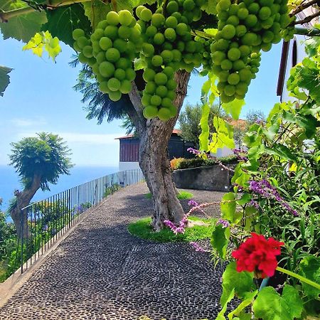 Torre Bella Gardens Villa Arco da Calheta  Eksteriør billede