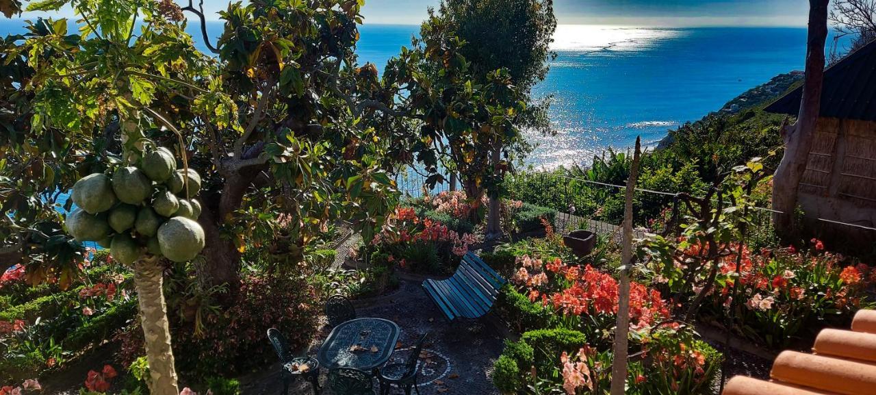 Torre Bella Gardens Villa Arco da Calheta  Eksteriør billede