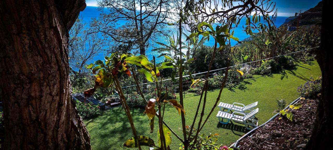 Torre Bella Gardens Villa Arco da Calheta  Eksteriør billede
