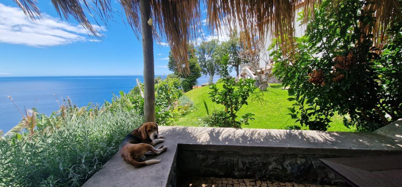 Torre Bella Gardens Villa Arco da Calheta  Eksteriør billede