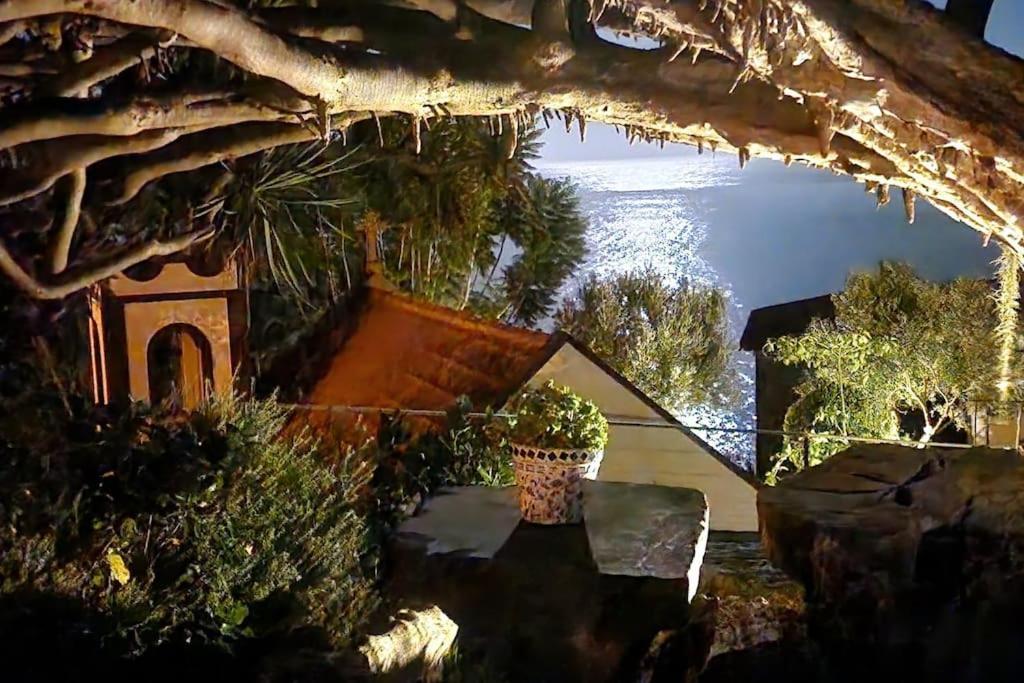 Torre Bella Gardens Villa Arco da Calheta  Eksteriør billede