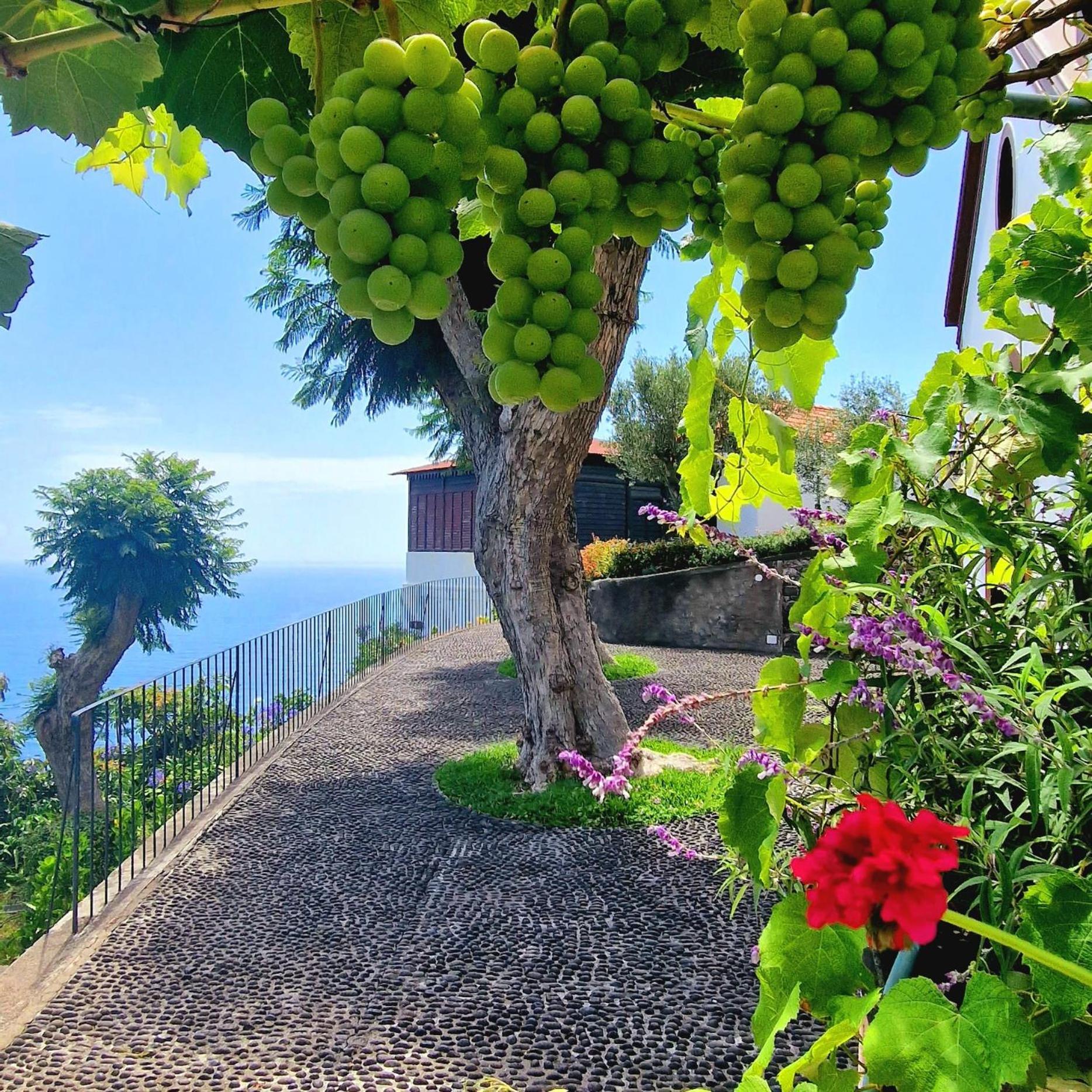 Torre Bella Gardens Villa Arco da Calheta  Eksteriør billede