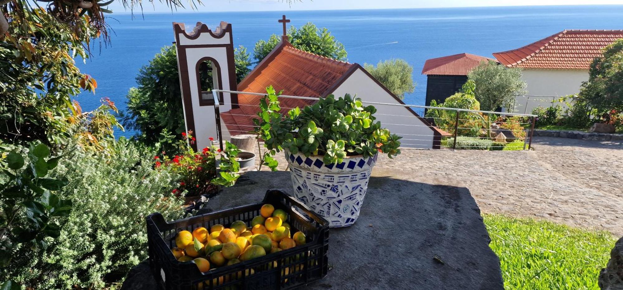 Torre Bella Gardens Villa Arco da Calheta  Eksteriør billede