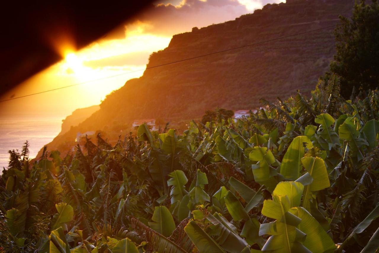 Torre Bella Gardens Villa Arco da Calheta  Eksteriør billede
