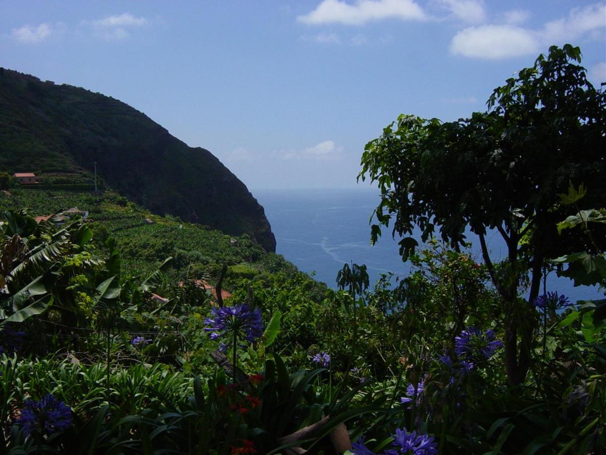 Torre Bella Gardens Villa Arco da Calheta  Eksteriør billede